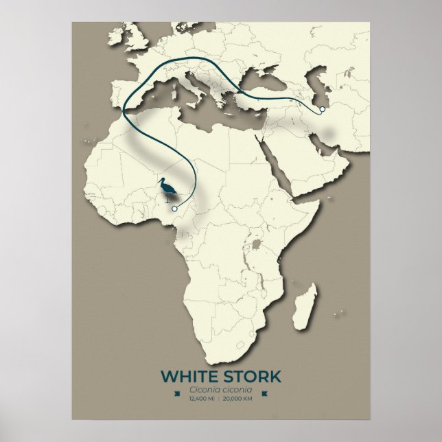 Póster Mapa de la migración de la cigüeña blanca - Minima (Frente)