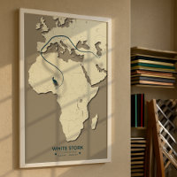 Mapa de la migración de la cigüeña blanca - Minima