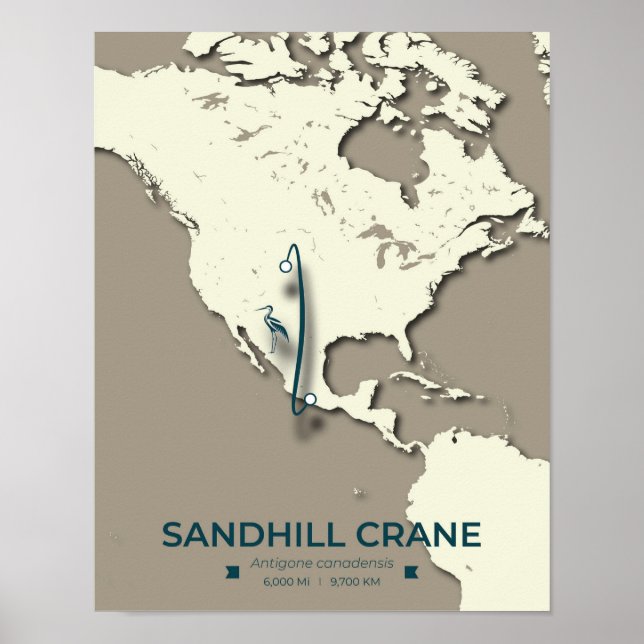 Póster Mapa de la migración de la grúa de Sandhill - Vint (Frente)