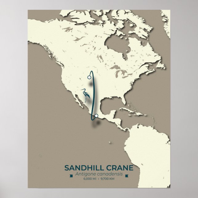 Póster Mapa de la migración de la grúa de Sandhill - Vint (Frente)