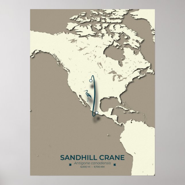 Póster Mapa de la migración de la grúa de Sandhill - Vint (Frente)