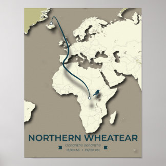 Póster Mapa de la migración de las ruedas del norte - Min