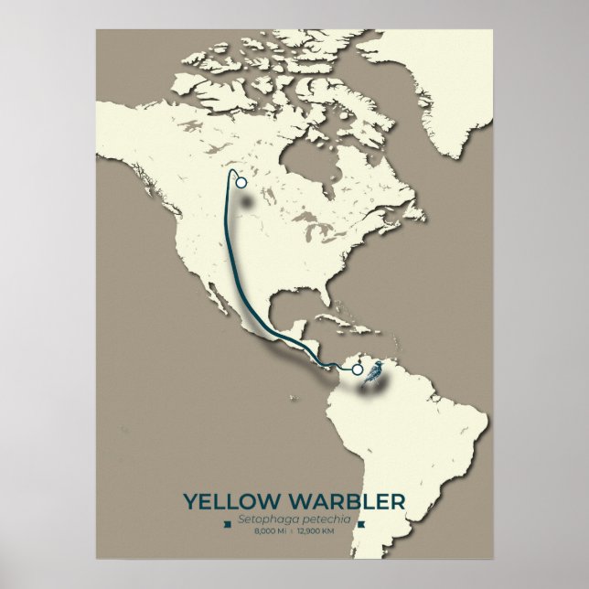 Póster Mapa de la migración de los bárbaros amarillos - M (Frente)