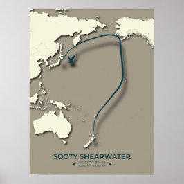 Póster Mapa de la migración de Sooty Shearwater Migration