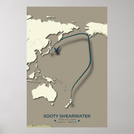 Póster Mapa de la migración de Sooty Shearwater Migration