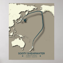 Mapa de la migración de Sooty Shearwater Migration