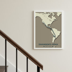 Póster Mapa de la migración del Halcón de Swainson - Mini