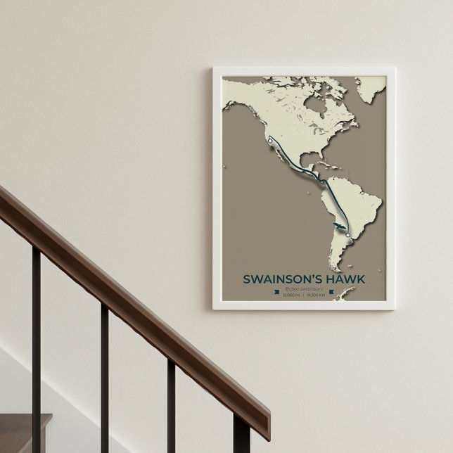 Póster Mapa de la migración del Halcón de Swainson - Mini (Subido por el creador)