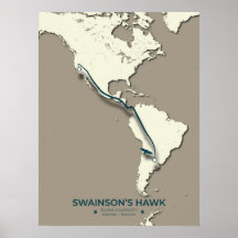 Mapa de la migración del Halcón de Swainson - Mini