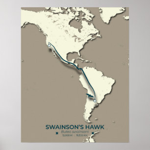Póster Mapa de la migración del Halcón de Swainson - Mini