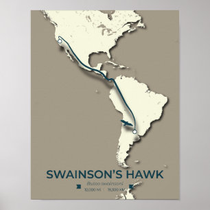 Póster Mapa de la migración del Halcón de Swainson - Mini