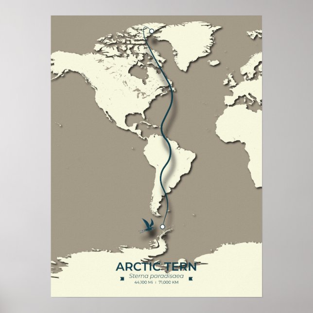 Póster Mapa de la migración del suelo ártico - Minimalist (Frente)