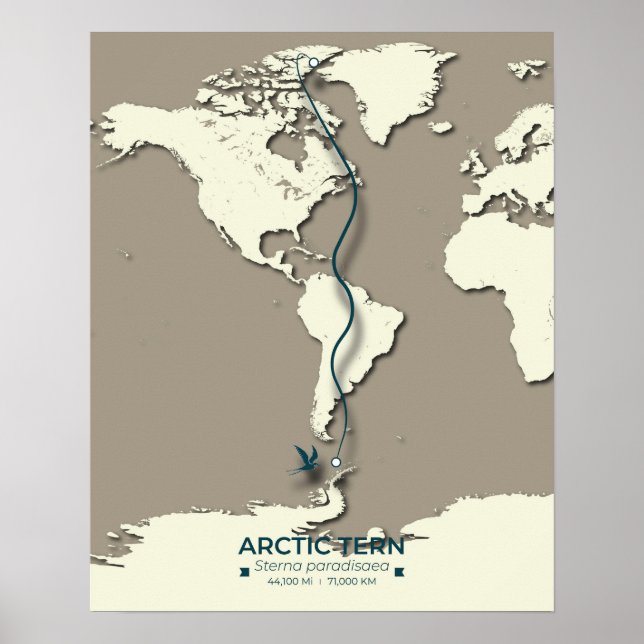 Póster Mapa de la migración del suelo ártico - Minimalist (Frente)
