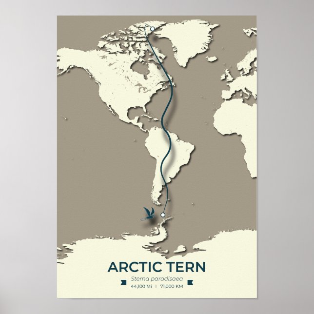 Póster Mapa de la migración del suelo ártico - Minimalist (Frente)