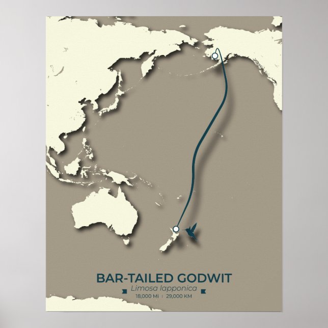 Póster Mapa de la migración del suelo ártico - Minimalist (Frente)