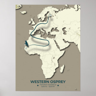 Póster Mapa de la migración Osprey occidental - Vintage M
