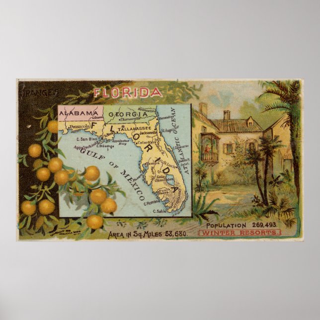 Póster Mapa de la vieja Florida con Ilustraciones (1890) (Frente)