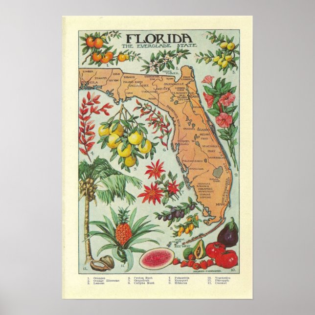 Póster Mapa de la vieja Florida - Flora (Frente)
