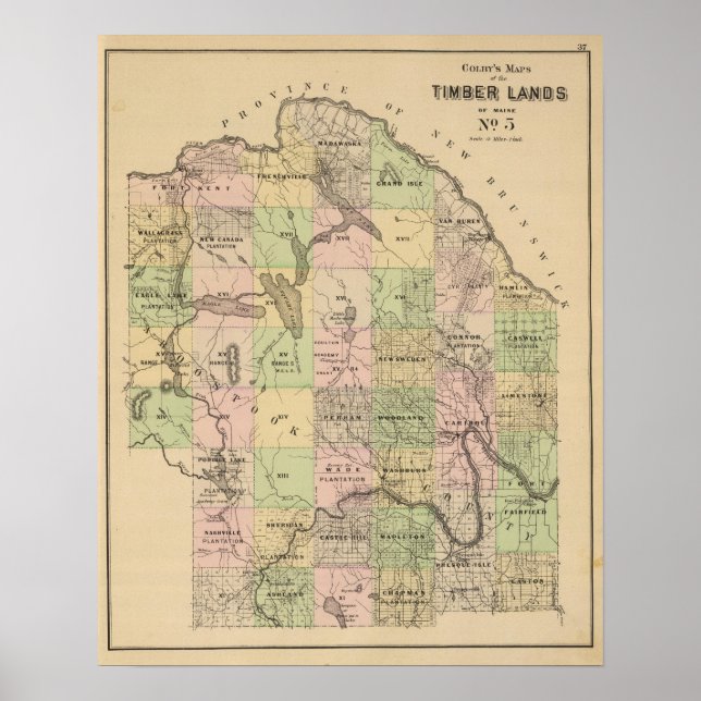Póster Mapa de las tierras de la madera 5 (Frente)