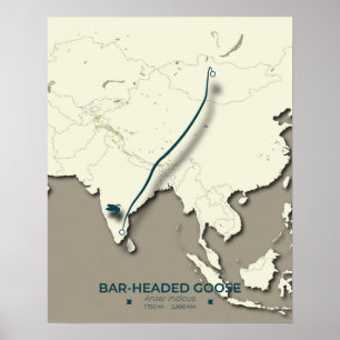 Póster Mapa de migración de ganso con cabeza de bar - Min
