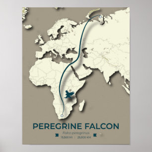 Póster Mapa de migración de halcones peregrinos - Minimal