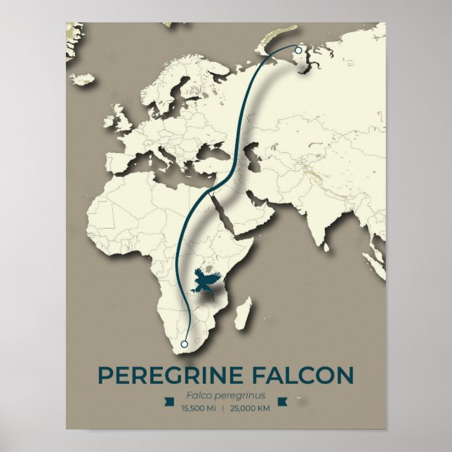 Póster Mapa de migración de halcones peregrinos - Minimal (Frente)