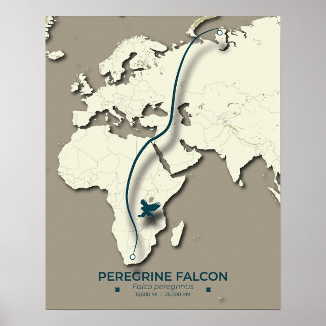 Póster Mapa de migración de halcones peregrinos - Minimal (Frente)