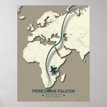 Mapa de migración de halcones peregrinos - Minimal