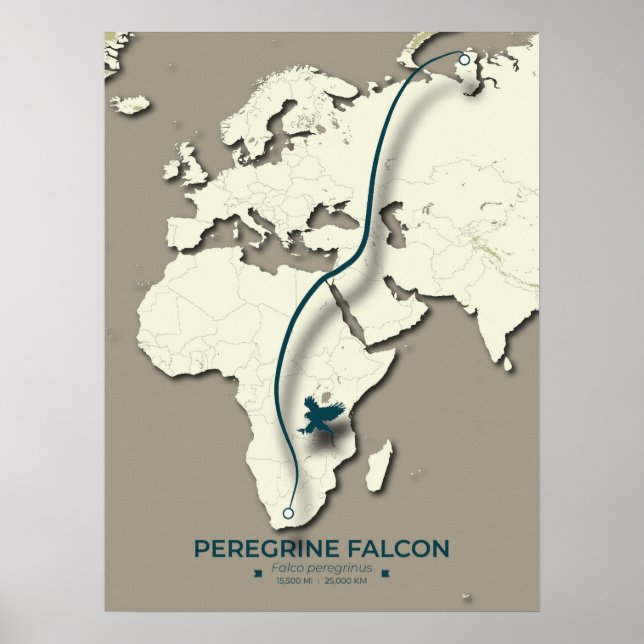 Póster Mapa de migración de halcones peregrinos - Minimal (Frente)