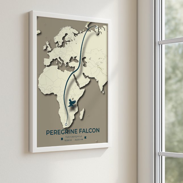 Póster Mapa de migración de halcones peregrinos - Minimal (Subido por el creador)