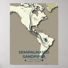 Póster Mapa de migración de Sandpiper con semimanes - Min