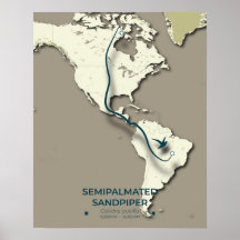 Mapa de migración de Sandpiper con semimanes - Min