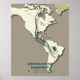 Póster Mapa de migración de Sandpiper con semimanes - Min