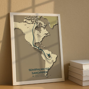 Póster Mapa de migración de Sandpiper con semimanes - Min