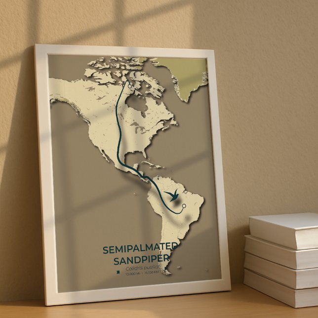 Póster Mapa de migración de Sandpiper con semimanes - Min (Subido por el creador)