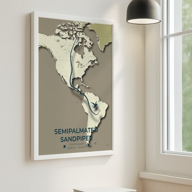 Póster Mapa de migración de Sandpiper con semimanes - Min (Semipalmated Sandpiper A3 Mockup)