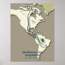 Mapa de migración de Sandpiper con semimanes - Min