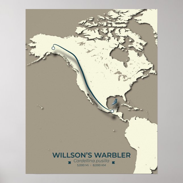 Póster Mapa de migración de Warbler de Wilson - Minimalis (Frente)
