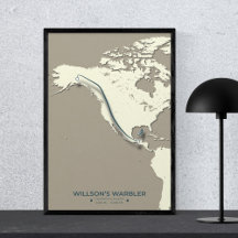 Mapa de migración de Warbler de Wilson - Minimalis