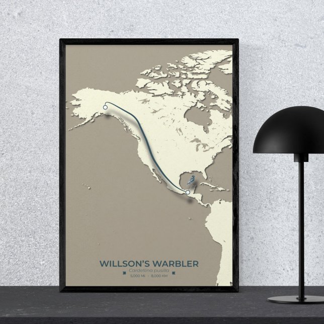 Póster Mapa de migración de Warbler de Wilson - Minimalis (Subido por el creador)