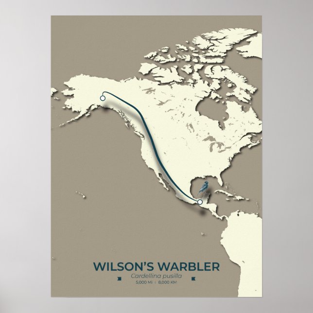Póster Mapa de migración de Warbler de Wilson - Minimalis (Frente)