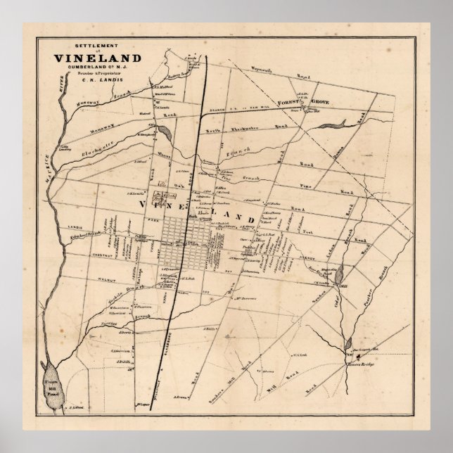 Póster Mapa de NJ Old Vineland (1875) Dandelion Capital (Frente)