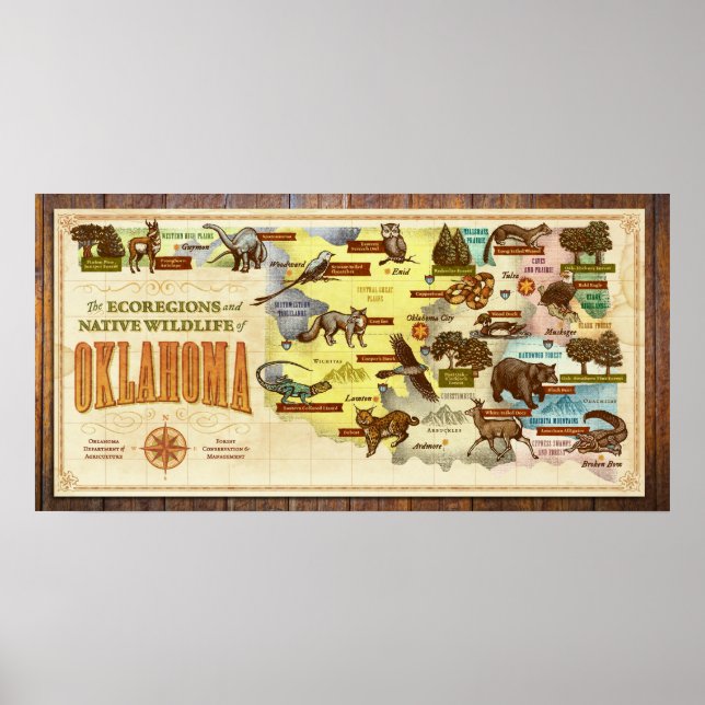 Póster Mapa de Oklahoma: Ecorregiones y vida salvaje nati (Frente)