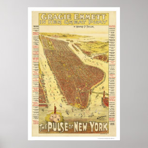 Póster Mapa De Pulso De Nueva York 1891