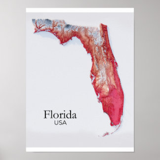 Póster Mapa de relieve de Florida con textura roja