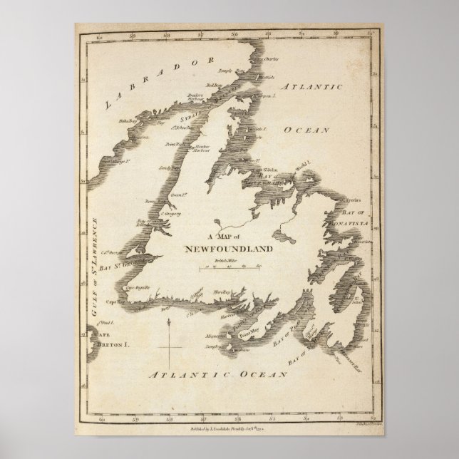 Póster Mapa de Terranova (Frente)