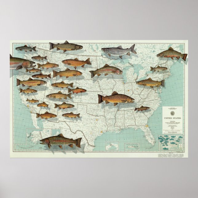 Póster Mapa de truchas de los Estados Unidos (1999) (Frente)