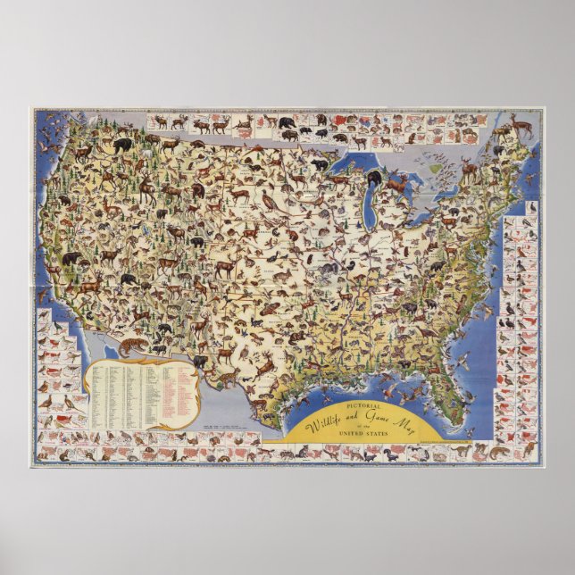 Póster Mapa de vida salvaje y caza de Estados Unidos (Frente)