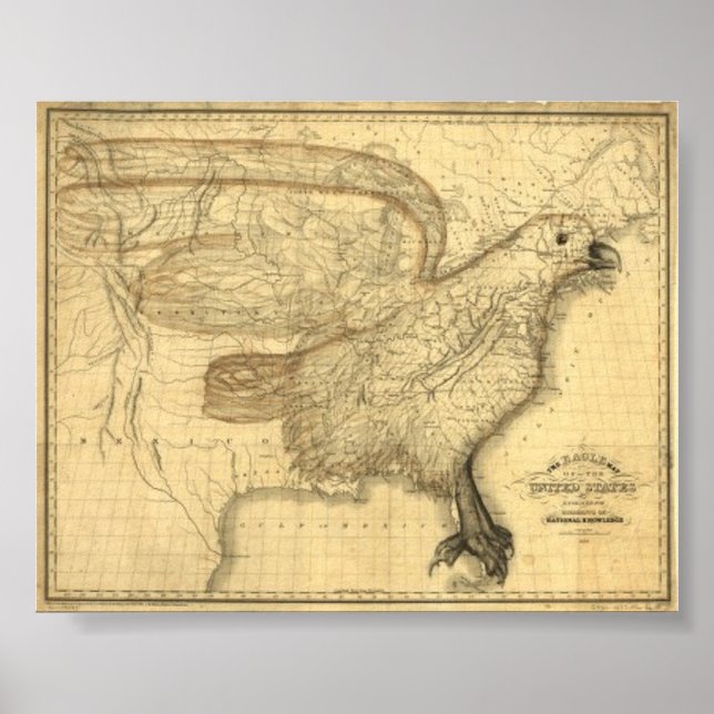 Póster Mapa del águila de los Estados Unidos (Frente)