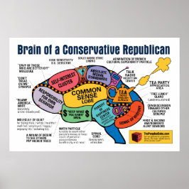 Póster Mapa del cerebro - Republicano capitalista